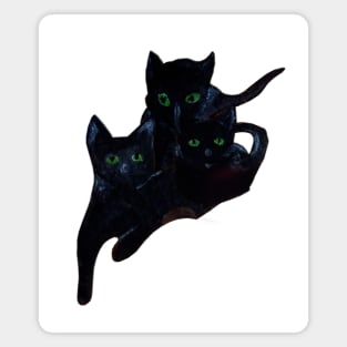 Black cats Magnet